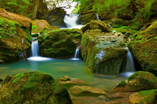 444226 (a): :2560x1707